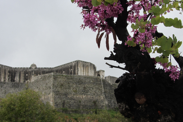 Azura Day 11: Corfu, Greece