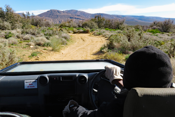 Cape Town: Day 4