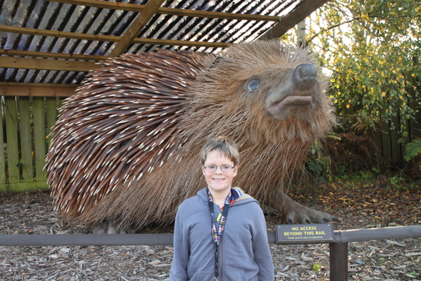 British Wildlife Centre