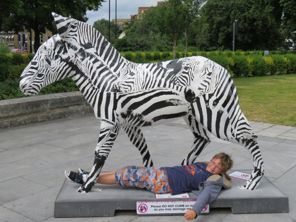 Southampton – Zany Zebras – Part 2