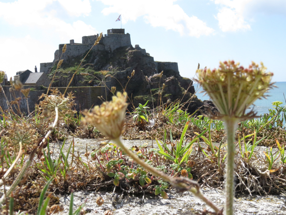 St Helier, Jersey – An Unexpected Journey