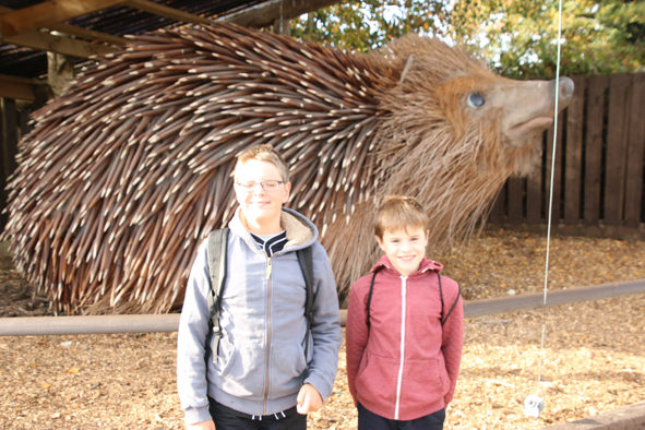 British Wildlife Centre