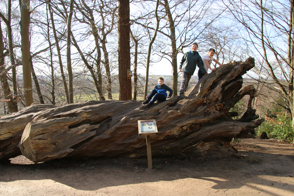 Cliveden (National Trust)