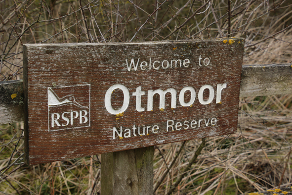 Otmoor RSPB Nature Reserve