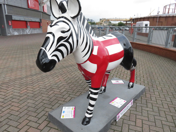Zany Zebras – Final Visit
